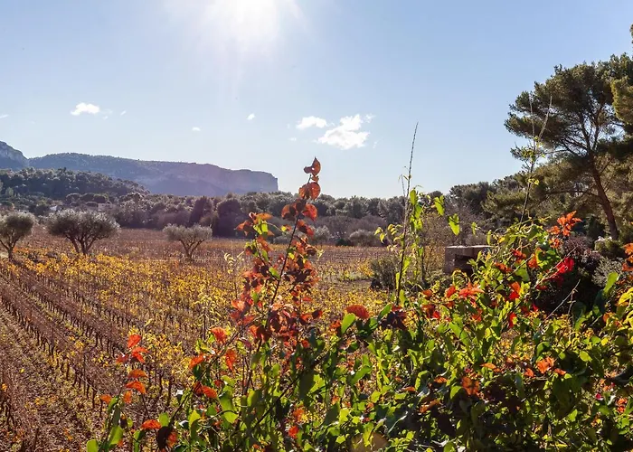 Ukika Cassis